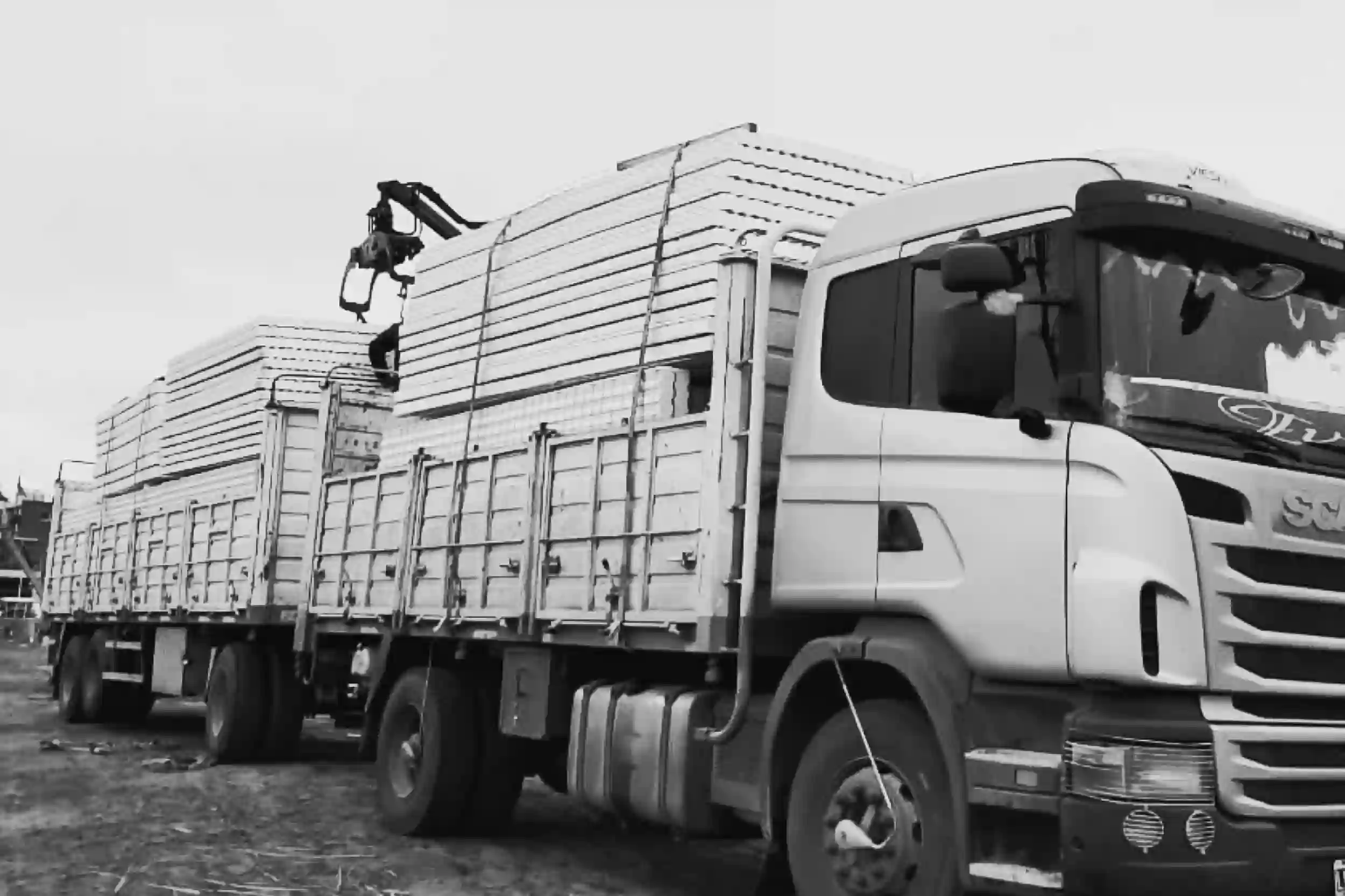 Camiones cargados con paneles de EPS antes del despacho